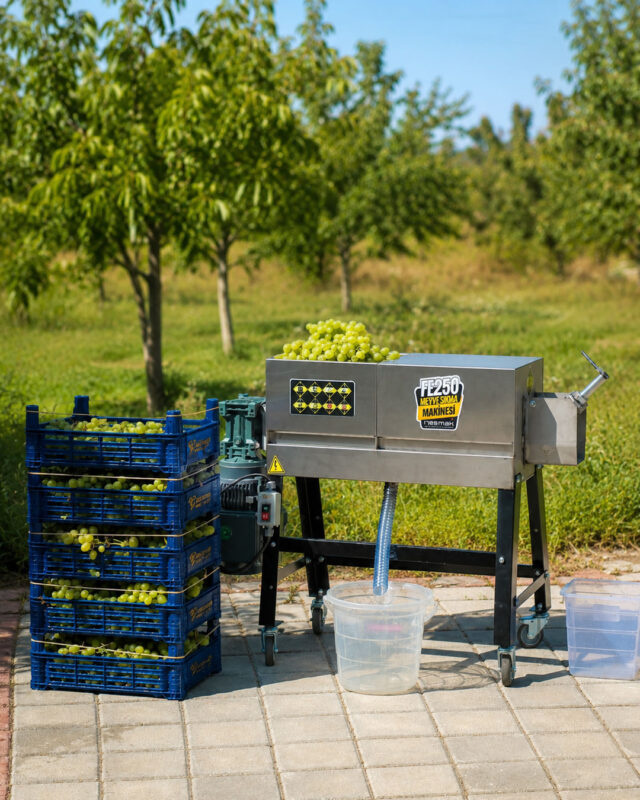 RESMAK DUT VE ÜZÜM SIKMA MAKİNESİ FE250